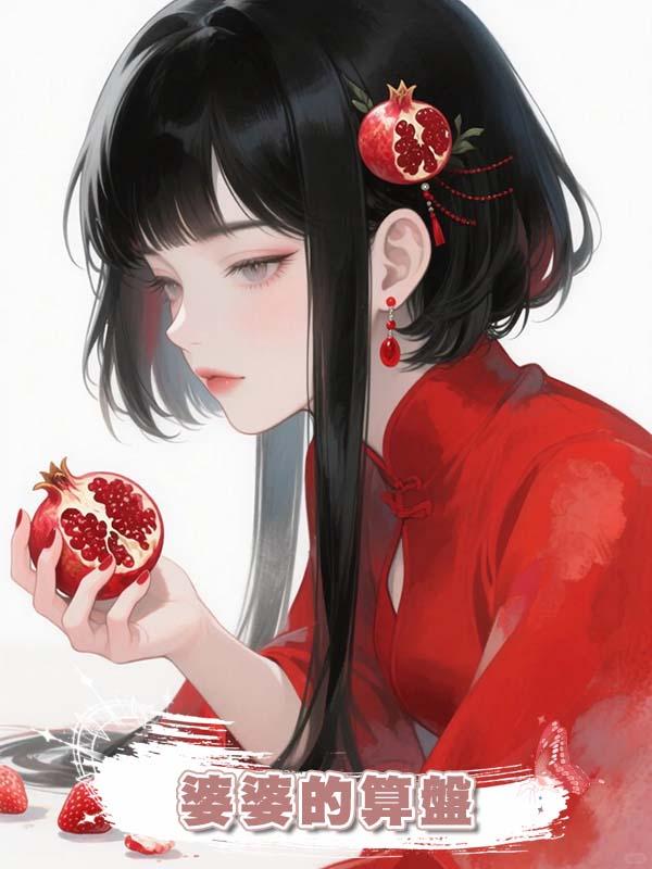 婆婆的算盤