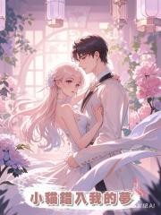 小貓錯入我的夢
